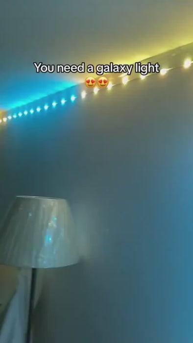 1.mp4